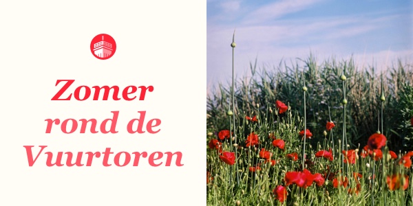 Zomer rond de vuurtoren