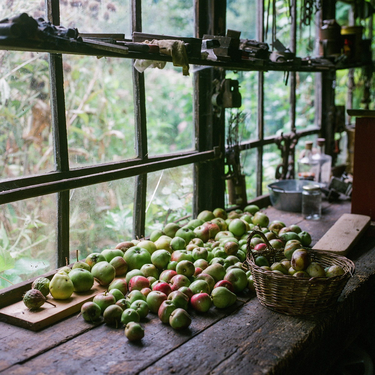 Appels liggen droog in de werkplaats