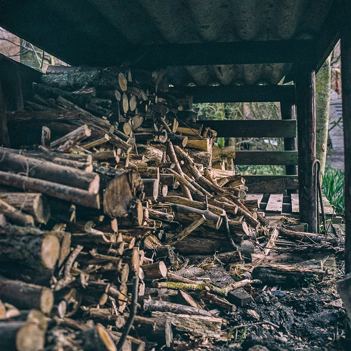 De houtstapel wordt aangevuld voor de winter