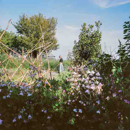 Cornelie in de moestuin