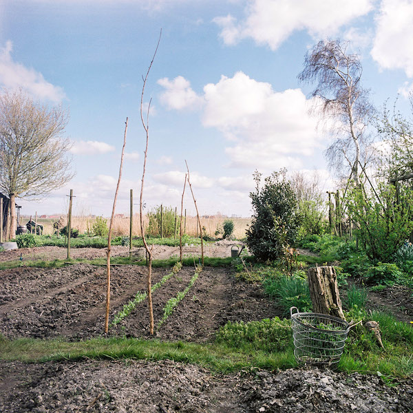 Foto van de moestuin in voorbereiding