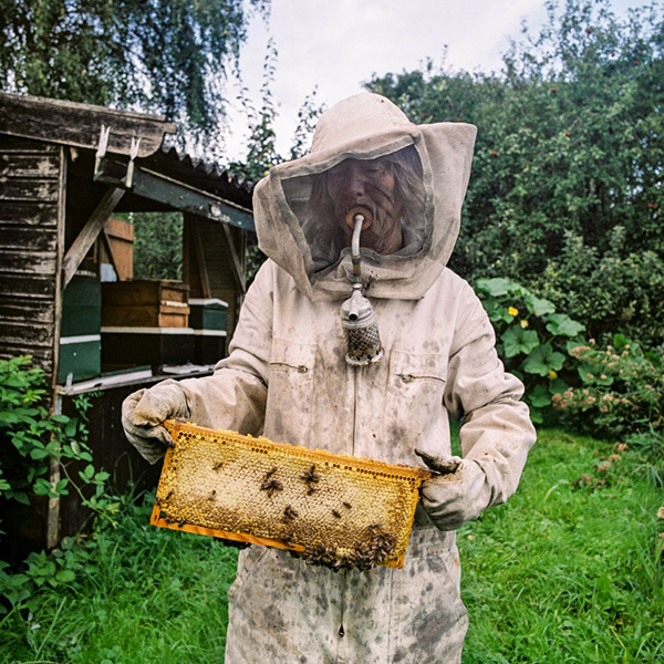 Cornelie oogst honing van een bijenvolk
