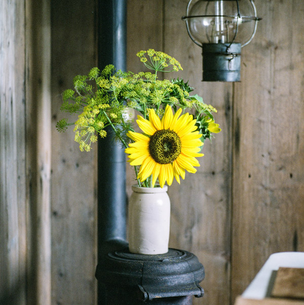 Zonnebloemen en dille