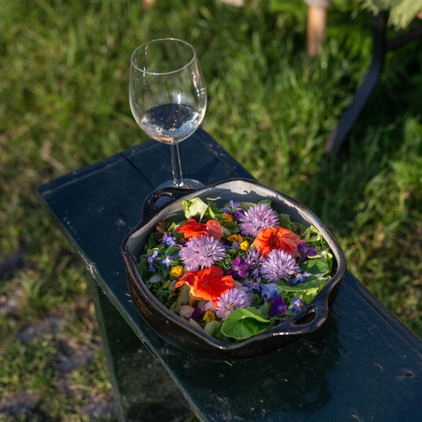 Salade van bloemen en groentes
